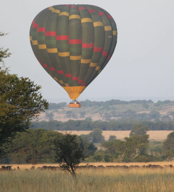 Hot Air Balloon Safaris