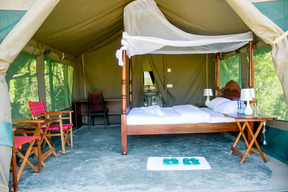 Single Room Tent